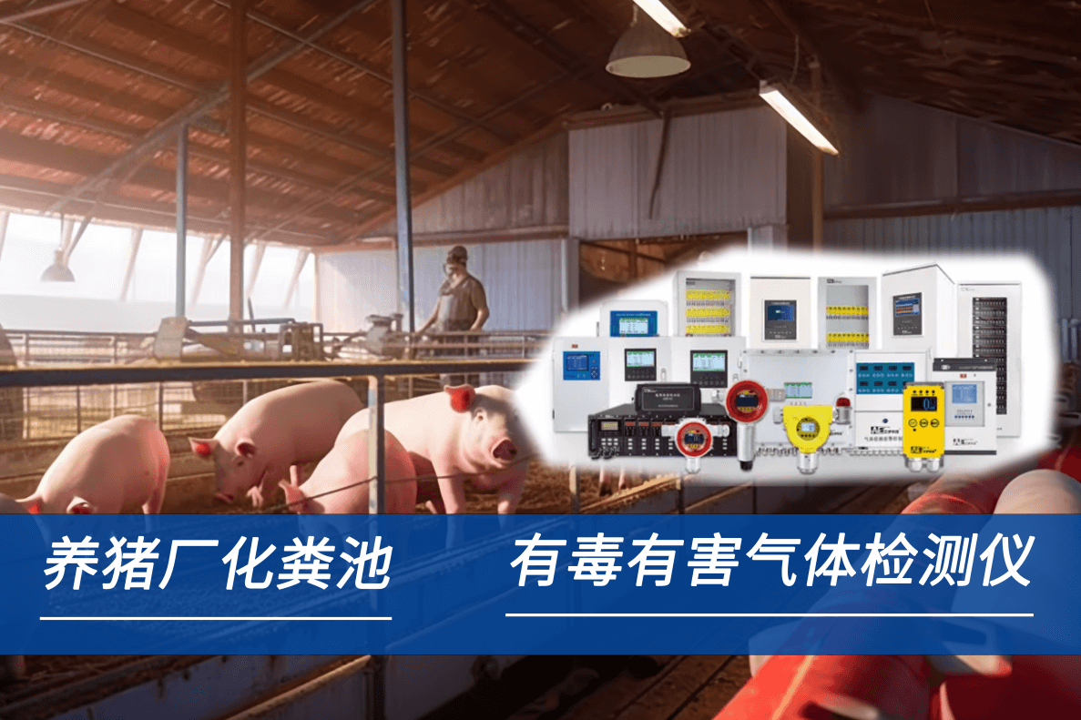 硫化氫氣體檢測報(bào)警器